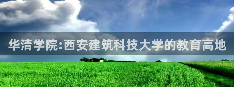 谈球吧红包激活码