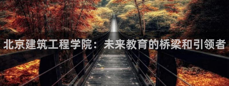 谈球吧的聊天软件下载