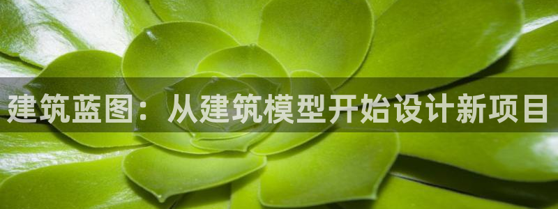 谈球吧体育app下载足球比赛视频