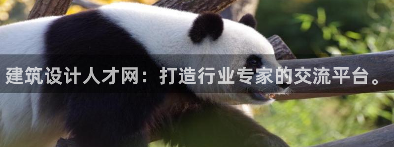 谈球吧是黑台子吗还是白台子