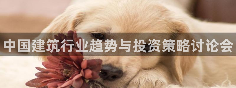 谈球吧app下载