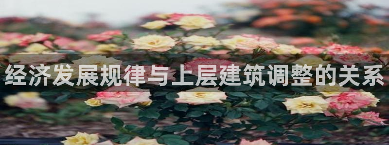 谈球吧体育app官网下载