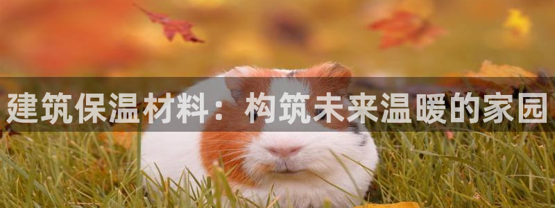 谈球吧体育app下载足球比赛视频