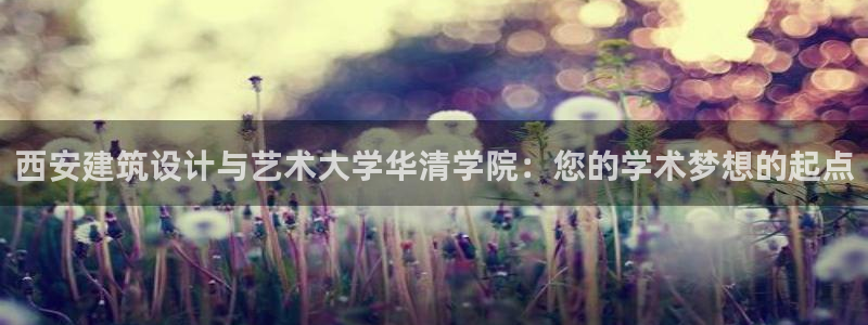 谈球吧官网在线入口免费观看