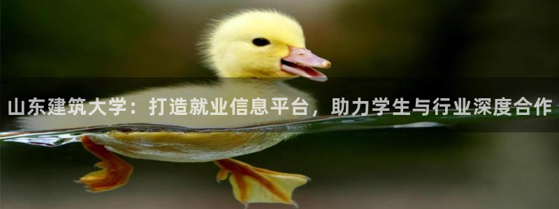 谈球吧app在哪里下载