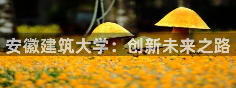 谈球吧平台正规吗可靠吗知乎：安徽建筑大学：创新未来之路