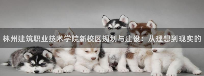 谈球吧官网在线入口手机版下载安装：林州建筑职业技术学院新校区规划与建设：从理想到现实的