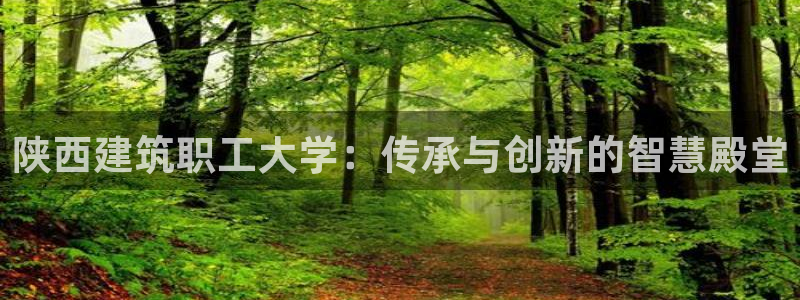 谈球吧出款怎样?