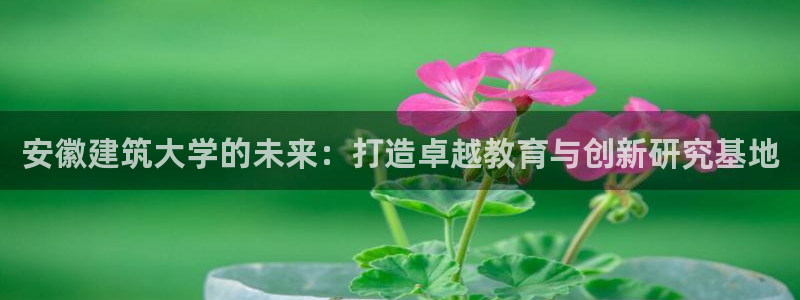 谈球吧体育app下载中心