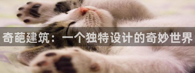 谈球吧app赛事分析报告怎么做