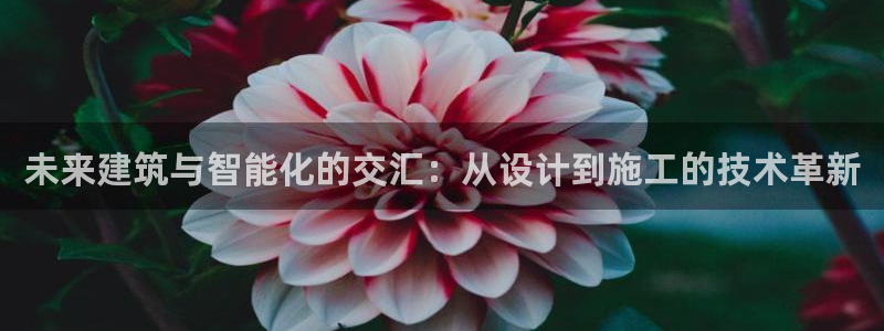 谈球吧app下载