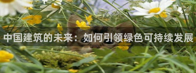 谈球吧官网在线入口免费观看高清版