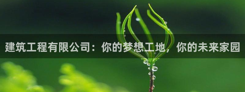 谈球吧网页版