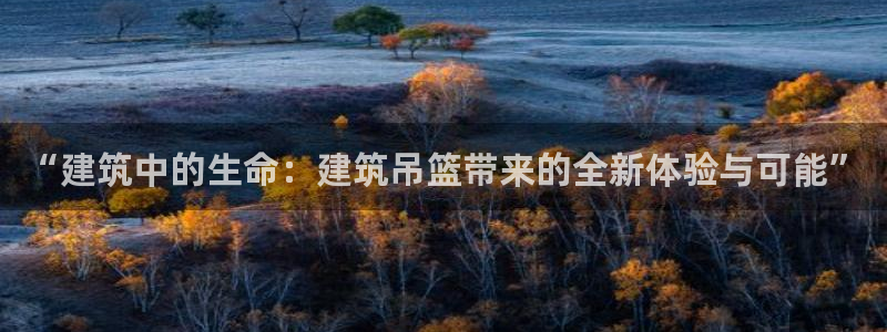 谈球吧App