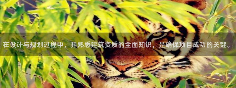 谈球吧买球提现