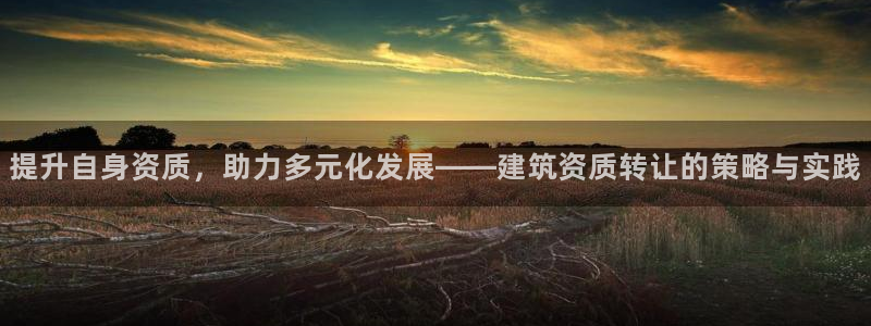 谈球吧的聊天软件