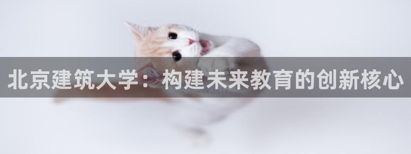 谈球吧怎么充值