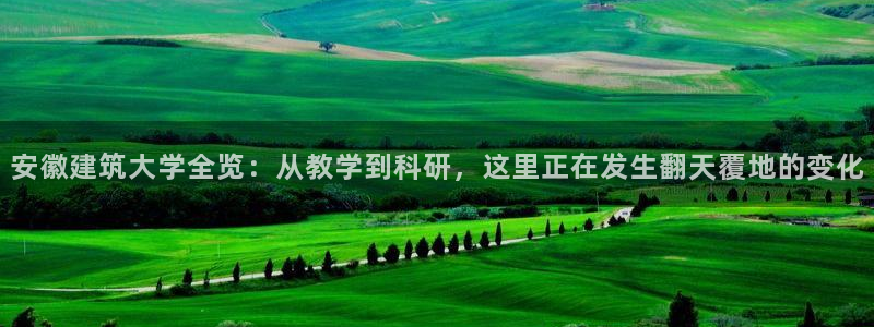 谈球吧app赛事分析报告