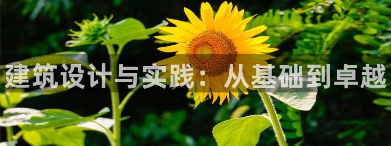 谈球吧账号有人收吗