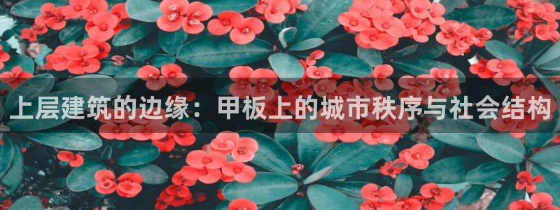 谈球吧官网在线入口手机版免费下载