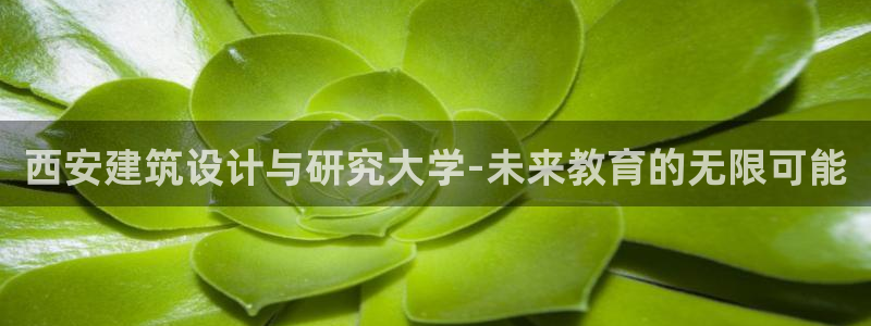 谈球吧官网在线入口手机版下载安装