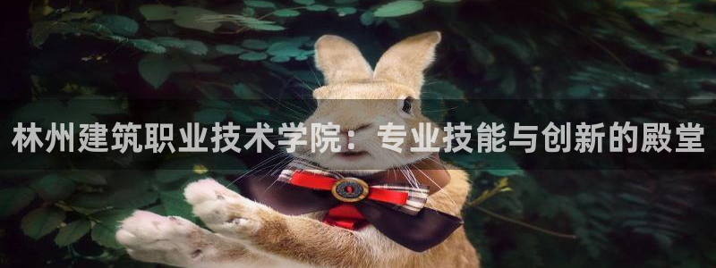 谈球吧app官方下载