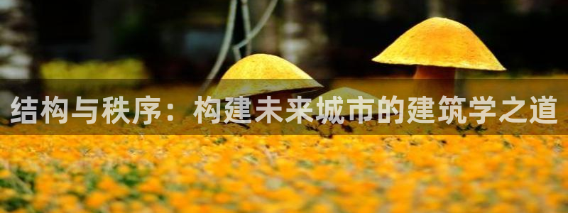 谈球吧app赛事分析报告怎么做