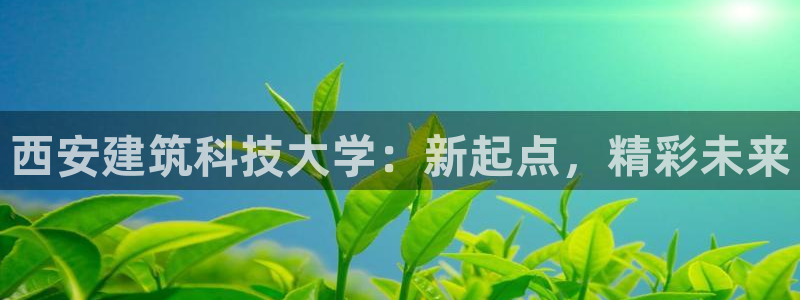 谈球吧首页