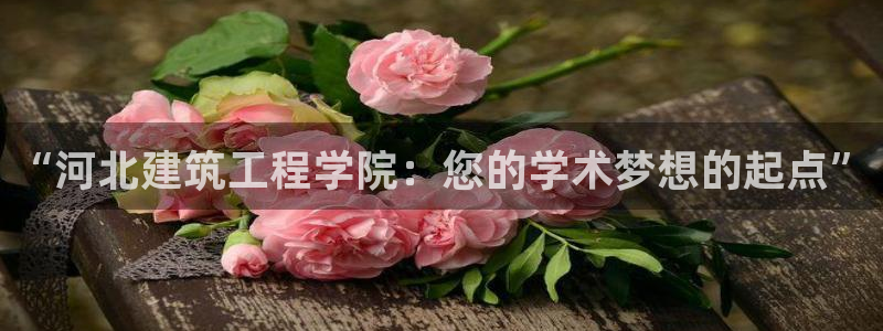 谈球吧算违法行为吗为什么