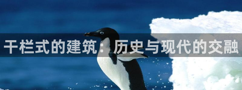 谈球吧买球是正规的吗