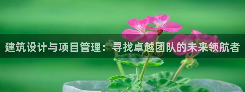 谈球吧出款怎样?