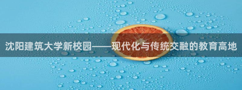 谈球吧体育赛事