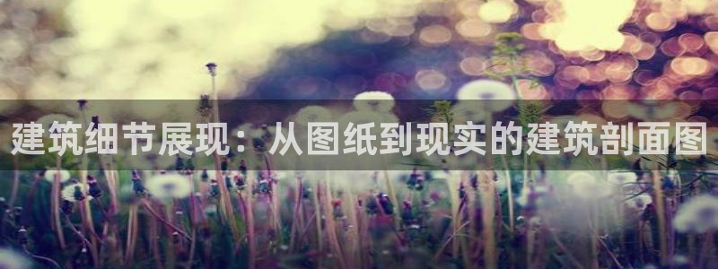 谈球吧app下载ios