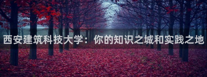 谈球吧最新APP下载