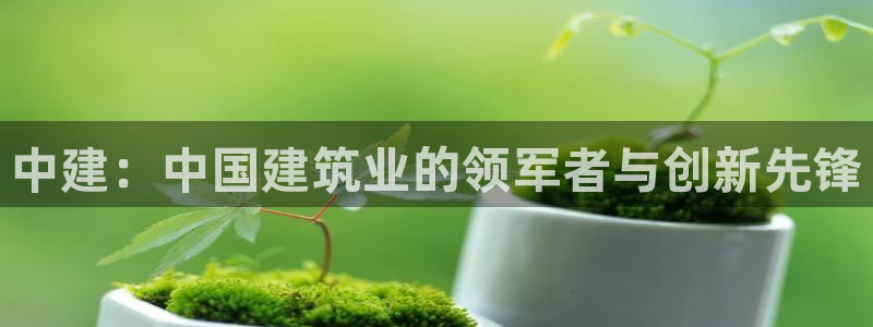 谈球吧体育官网在线入口