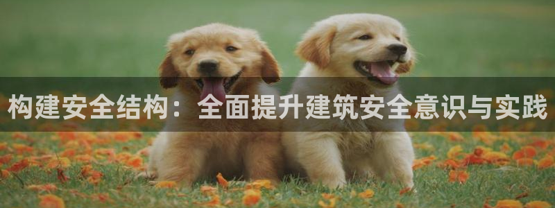 谈球吧官网在线入口手机版下载苹果