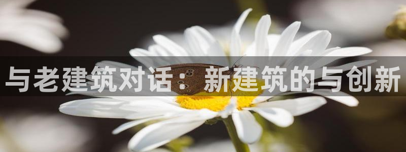 谈球吧电子app