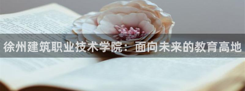 谈球吧官网在线入口手机版下载苹果