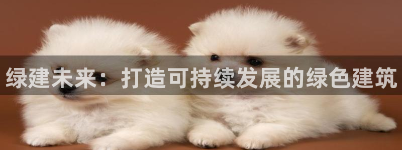 谈球吧属于哪个旗下
