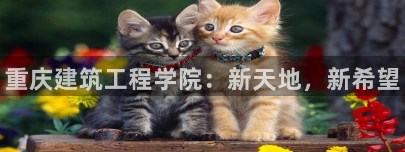 谈球吧体育app下载中心官网手机版