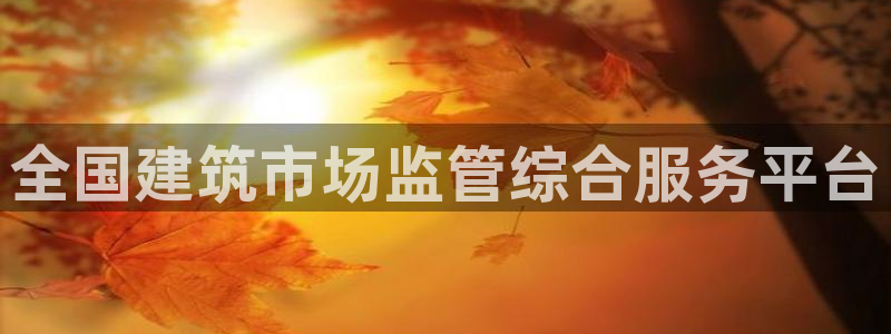谈球吧nba