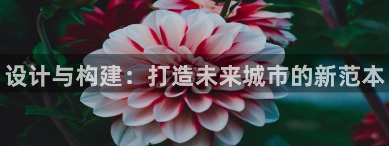 谈球吧官网在线入口免费观看高清视频