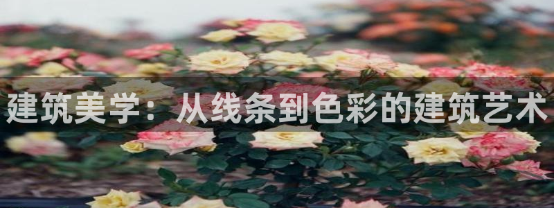 谈球吧平台app下载网址是什么