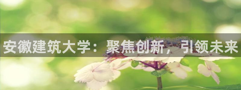 谈球吧官网在线入口手机版免费观看