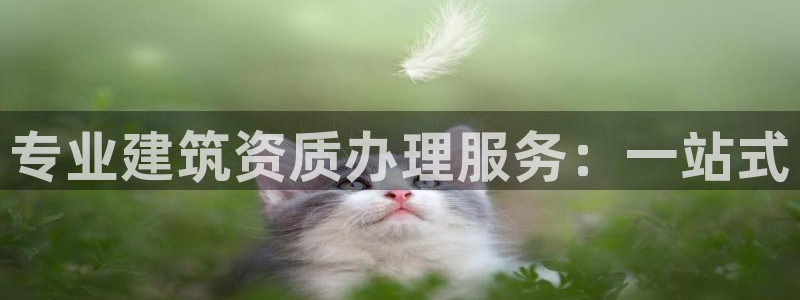 谈球吧平台app下载网址