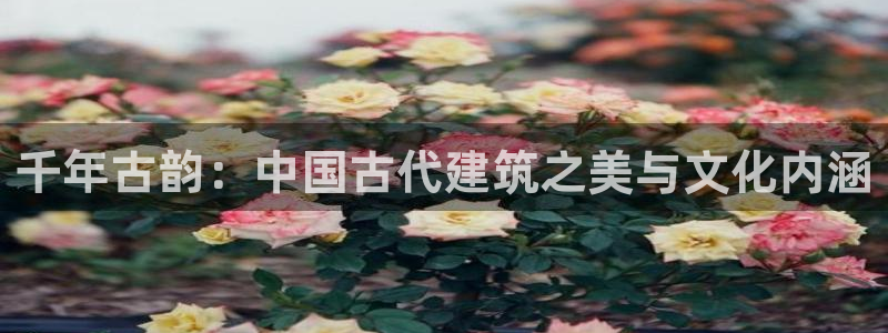 谈球吧体育app官网下载