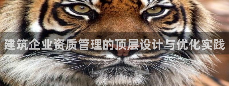 谈球吧app官网下载