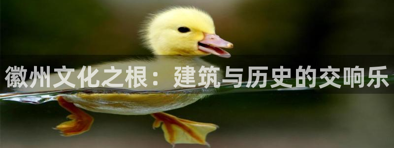 谈球吧体育app下载官网手机版苹果