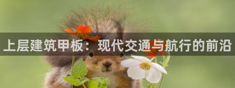 谈球吧官网在线入口网址