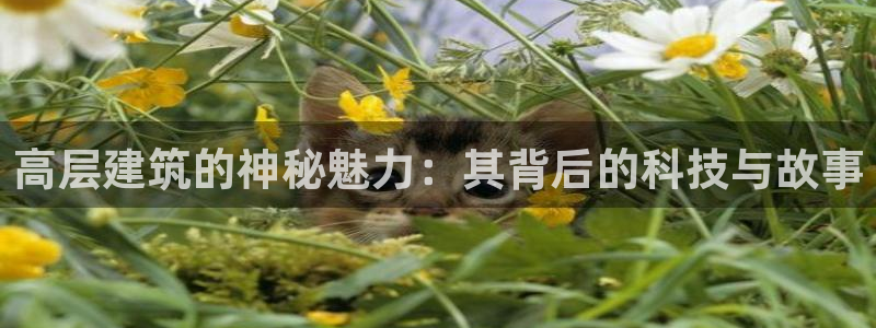 谈球吧体育综合